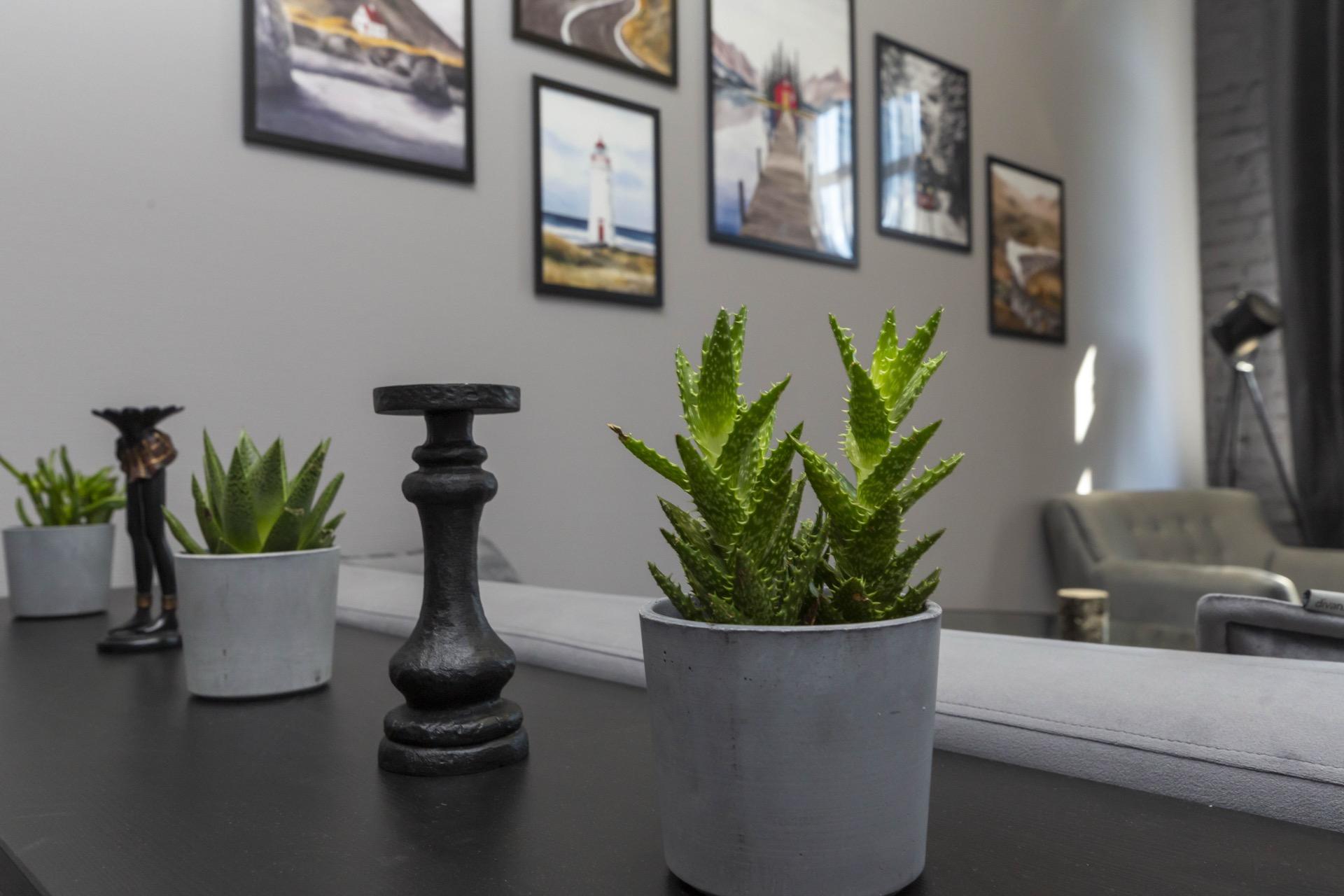 Серый кабинет №19