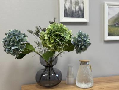 Зеленый кабинет №9